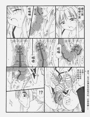 第33頁圖