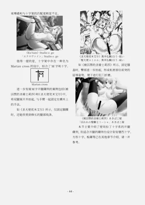 第45頁圖