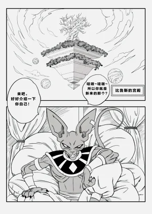 第8页图