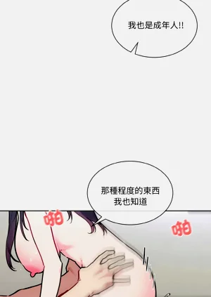 第251頁圖