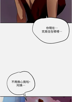 第214頁圖