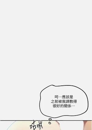 第243頁圖