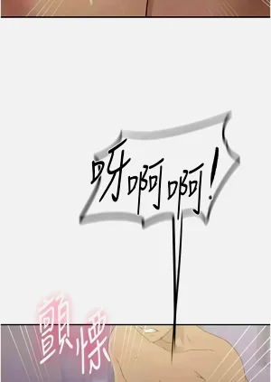 第278頁圖
