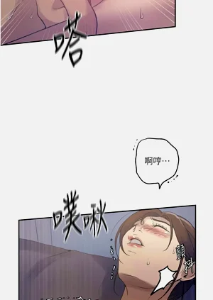 第303頁圖
