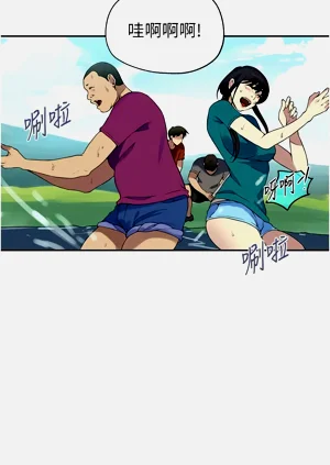 第381頁圖