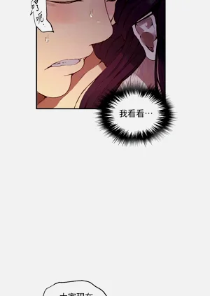 第449頁圖