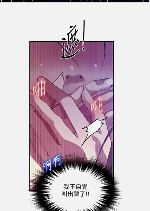 第481頁圖