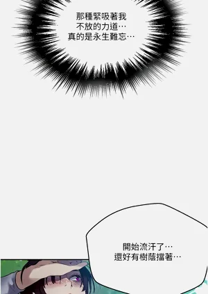 第511頁圖