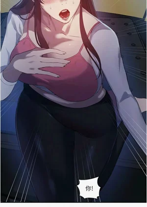 第527頁圖