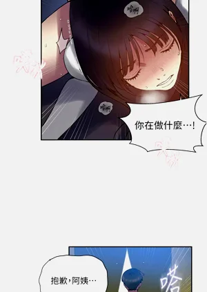 第567頁圖