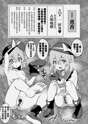第17页图
