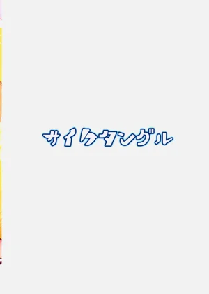 第17页图