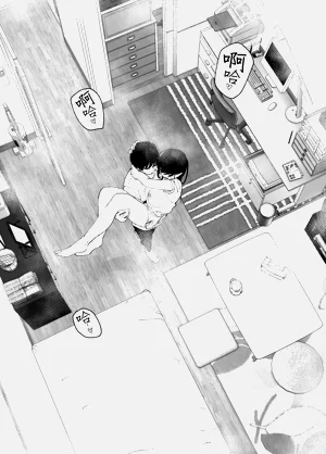 第45頁圖