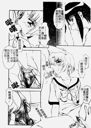 第22頁圖