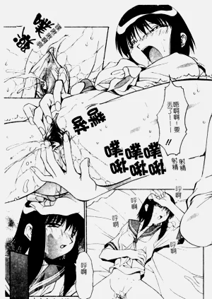 第29頁圖