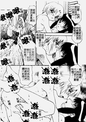 第33頁圖