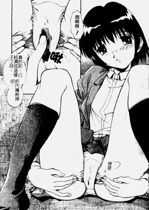第41頁圖
