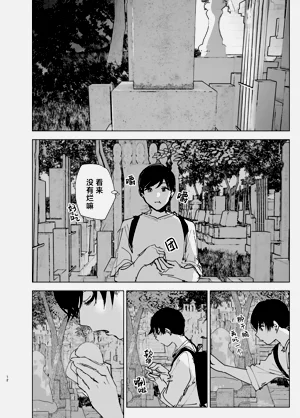第12页图