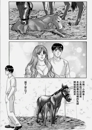 第61頁圖
