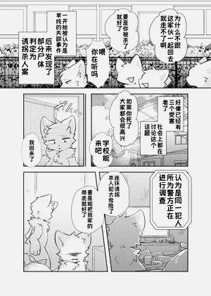 第13页图