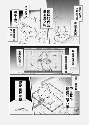 第14页图