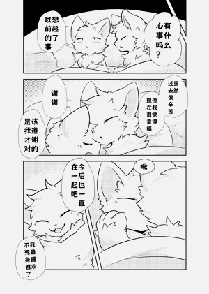 第33页图