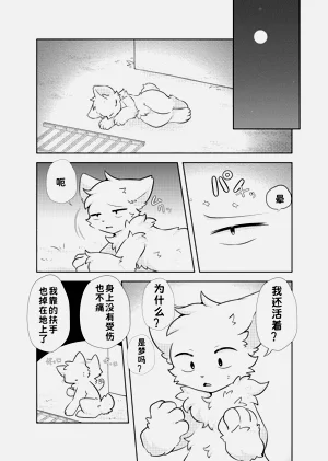 第9页图