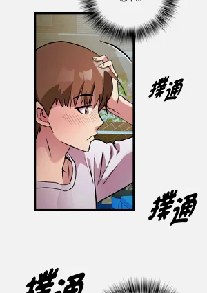 第203頁圖