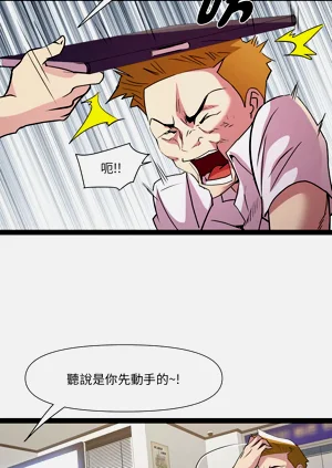 第238頁圖