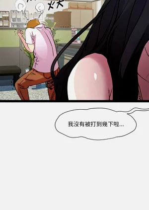第239頁圖