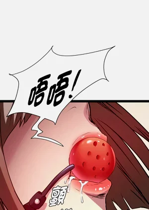 第325頁圖