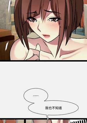 第333頁圖
