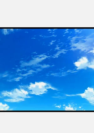 第411頁圖