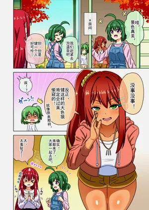 第528页图