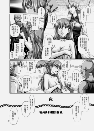 第33頁圖