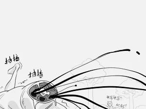 第79頁圖