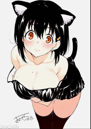 第255頁圖
