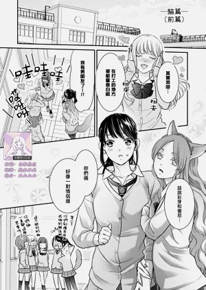 第1页图