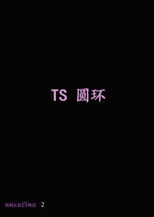 第33頁圖