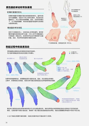 第35頁圖