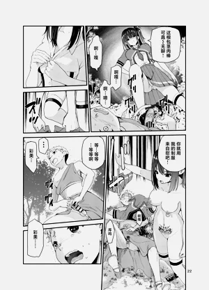 第337頁圖