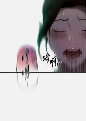 第264頁圖