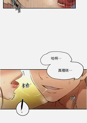 第272頁圖