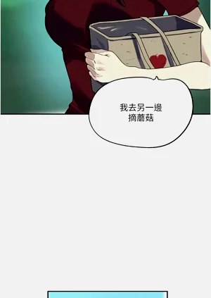 第379頁圖