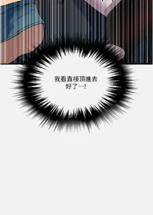第447頁圖