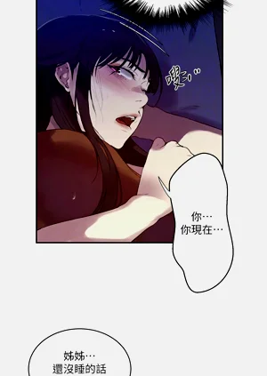 第493頁圖