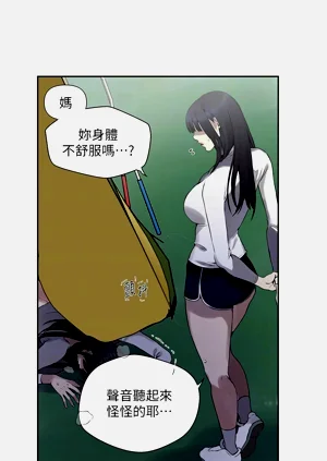 第555頁圖