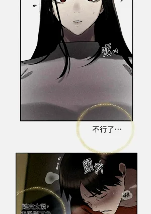 第560頁圖