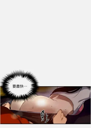 第595頁圖