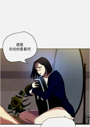 第621頁圖
